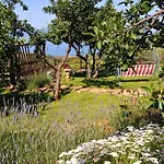 La Sirenetta