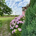 La Sirenetta Frühstückspension