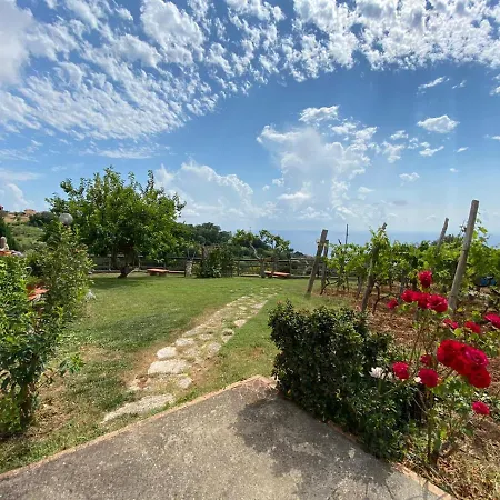 La Sirenetta Bed & Breakfast Diamante