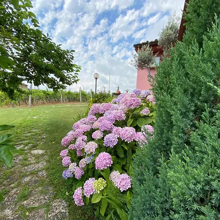 La Sirenetta Bed & Breakfast