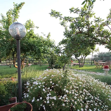 B&B La Sirenetta 디아망테