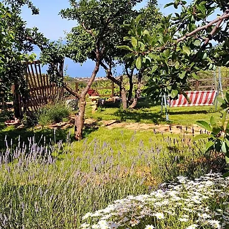 La Sirenetta Bed & Breakfast