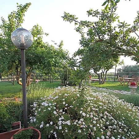 La Sirenetta Bed & Breakfast Diamante