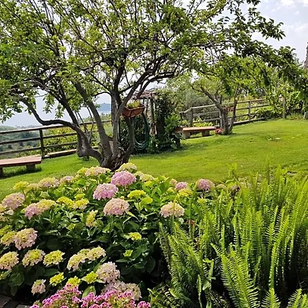 Bed & Breakfast La Sirenetta