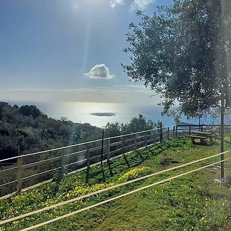 La Sirenetta Diamante