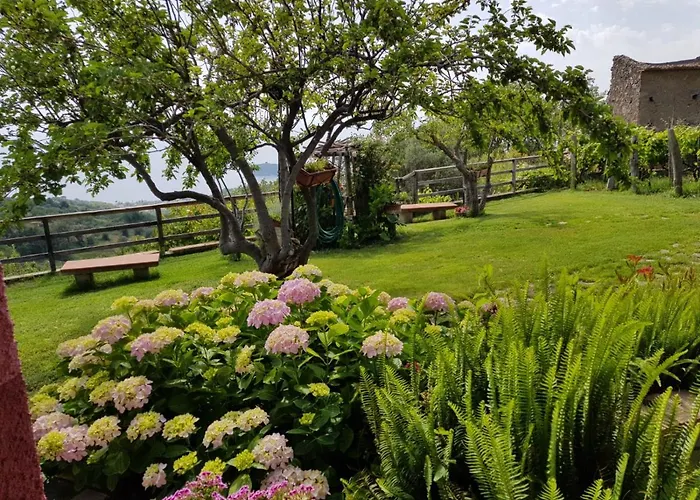 La Sirenetta * Diamante